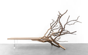 BANC FALLENTREE CHÊNE SCULPTÉ ET PIÈTEMENT EN VERRE BOROSILICATE FINITION EN CHÊNE NATUREL MASSIF ROTATION 180°