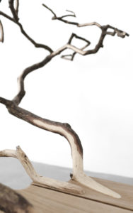 DETAILS BENCH FALLENTREE SCULPTED OAK OAK BRANCHES