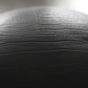 Tatou <pre>Assise</pre>
