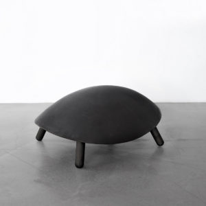 Tatou <pre>Assise</pre>
